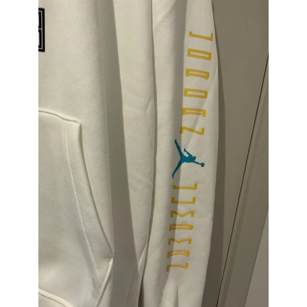 Jordan AJ11 Gamma Fleece Men's Pullover Hoodie